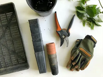 garden loppers tool with orange handle, gardening gloves labeled 'ironclad', stacked plant pots, trays, and green foliage on white background