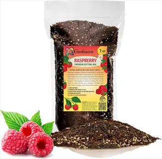gardenera raspberry premium potting mix bag with soil spill and fresh raspberries - raspberry container soil