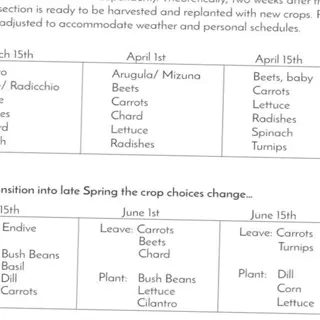 gardening schedule including lettuce succession planting