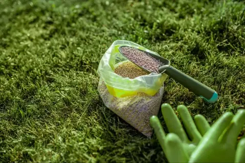 granular fertilizer for kale cultivation, featuring an open bag with scoop and green gardening gloves on grass