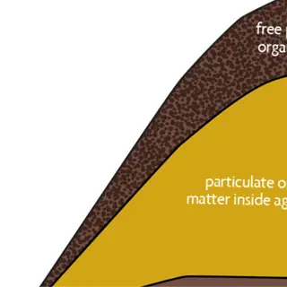 graph showing organic matter content in soil, including free particulate, particulate inside aggregates, and mineral-associated organic matter