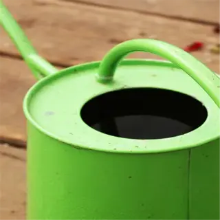 green long-spout watering can on wooden surface