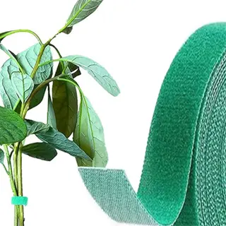 green plant ties wrapped around a stem, with a roll of the same material