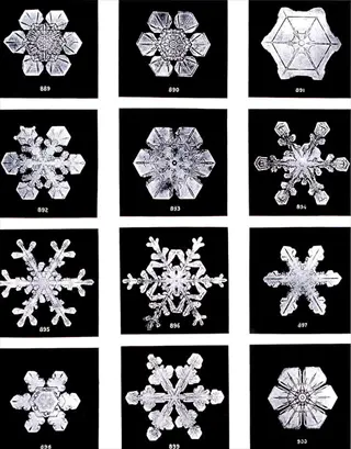 grid of twelve intricate snowflake (water crystals) micrographs with numbered labels (889-897). (source: page 54)
