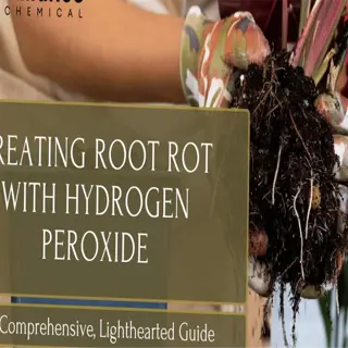 guide on using hydrogen peroxide for root rot treatment