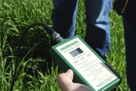 hand holding a garden soil thermometer (watermark soil moisture meter) in a grassy field, showing visible text labels and digital display on the device