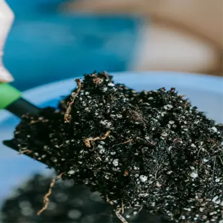hand holding a scoop of vermiculite-enriched soil