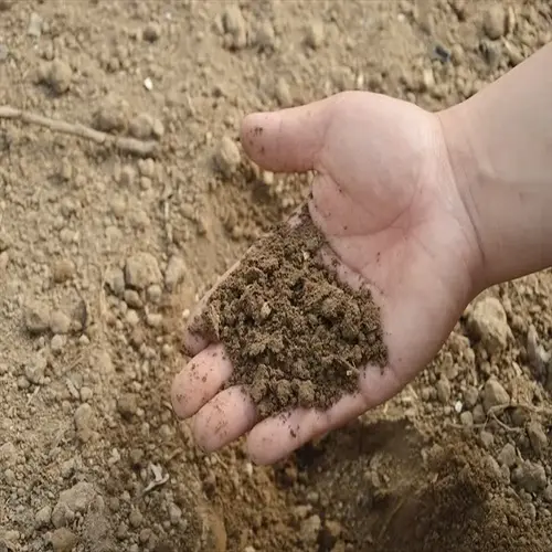 hand holding amended clay soil garden sample for inspection