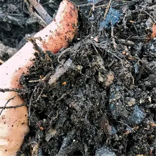 hand holding crumbly garden soil with organic matter