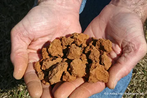 hands holding clumps of reddish clay soil in an outdoor setting. (source: j. kelley, soilscience.info)