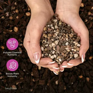 hands holding perlite soil mix with infographic labels for essential nutrients (ca, zn, mg) and plant immunity benefits - veryplants