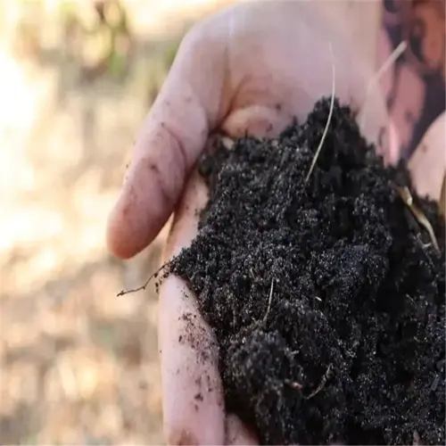 hands holding rich soil, providing essential micronutrients for plant growth
