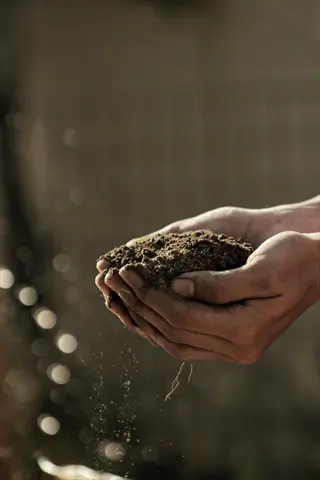 hands squeezing a ball of soil with particles falling in a garden setting