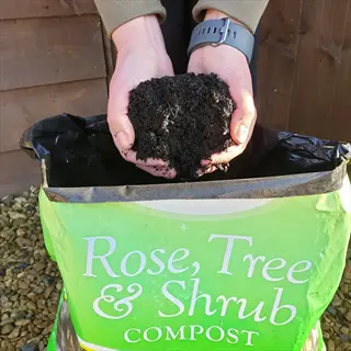 hands (wearing a gray watch) holding nutrient-rich rose tree compost from an open bag labeled 'rose, tree & shrub compost', set against a wooden shed and gravel background