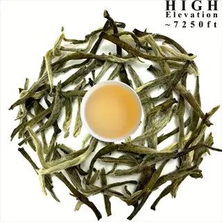 high elevation (~7250ft) white tea silver needle with brewing cup
