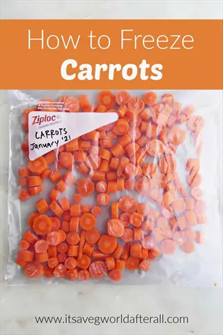 how to freeze carrots: ziploc bag with chopped carrot pieces labeled 'carrots january '21' - demonstrating carrot freezing preparation