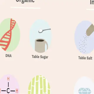 illustration comparing organic and inorganic options like table sugar and salt