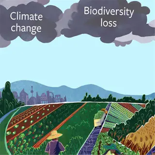 illustration of farming impacts on soil biodiversity