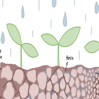 illustration of soil layers: sand, silt, and clay, showing well-drained properties