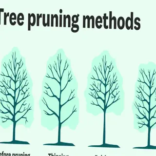 illustration showing various pruning techniques for trees, including heading, thinning, raising, and reduction