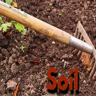 image of a rake in soil with the text 'soil preparation'