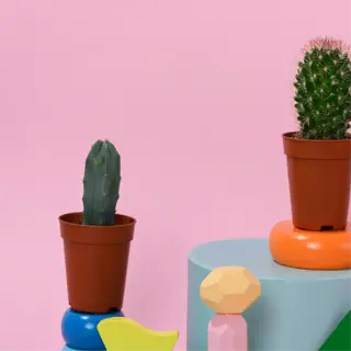 infographic on benefits of 3d-printed planters with unique designs