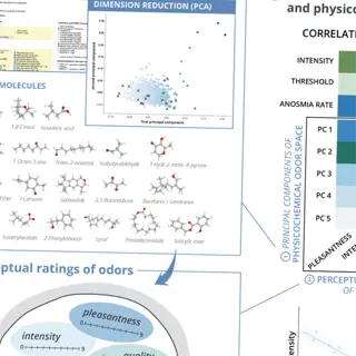 infographic on odor development: perceptual ratings and physicochemical odor space