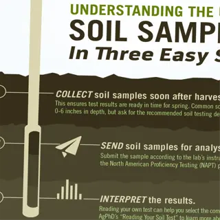 infographic on soil sampling for testing in three easy steps
