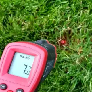 infrared thermometer measuring soil temperature on grass