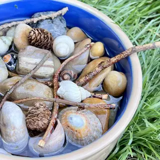 insect water dish: blue-rimmed bowl with water, pebbles, twigs, pine cones, and shells on grass. provides safe hydration for beneficial garden insects (water management for pollinators)