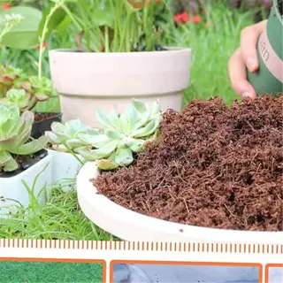 instructions for using coconut coir brick in gardening with images