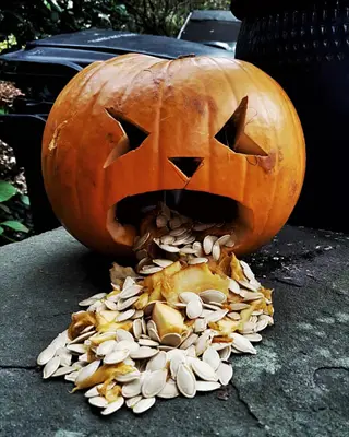 knocking pumpkin jack-o'-lantern with hollowed interior spilling seeds from carved mouth on outdoor stone surface