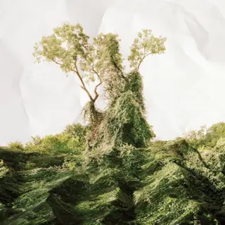 kudzu vine coverage smothers mature tree and chokes surrounding terrain, classic invasive species ecosystem domination