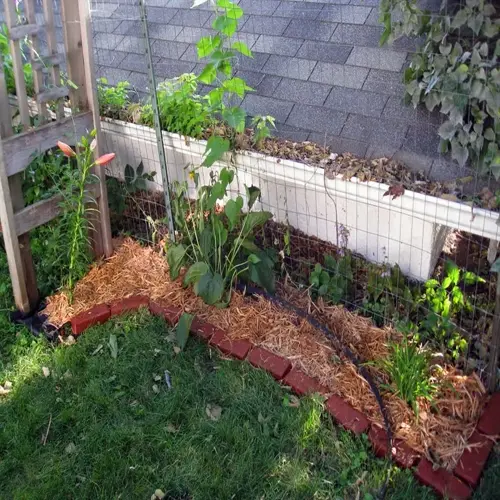 landscape fabric garden bed with mulch, plants, red brick border, house facade, and wooden trellis