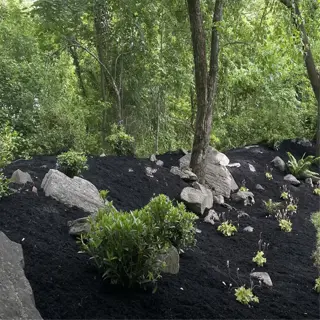 landscaped area with black mulch and strategically placed rocks