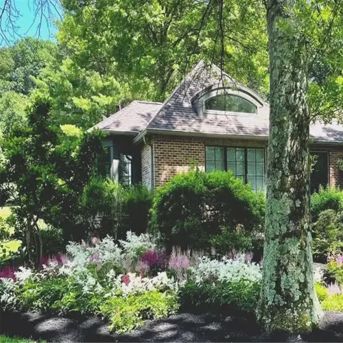 landscaped garden with mulch to prevent weeds around a house