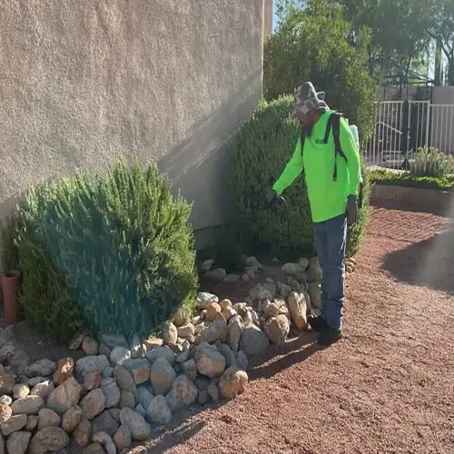landscaper using backpack sprayer for natural weed control in xeriscape garden with rocks and shrubs