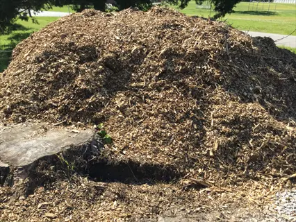 large pile of composted wood chips decomposing outdoors in sunny park setting with tree stump and open space