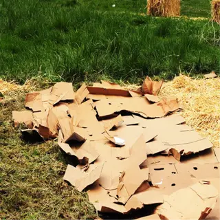 lasagna garden base layer with cardboard and straw