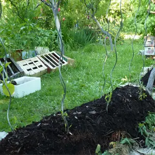 lasagna garden soil layers in preparation