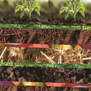 lasagna gardening layers with brown and green materials