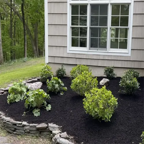 low maintenance shrubs in front yard with mulch and stone edging