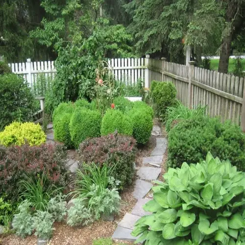 lush shade herb garden featuring stone path, diverse foliage, and white picket fence in a wooded setting