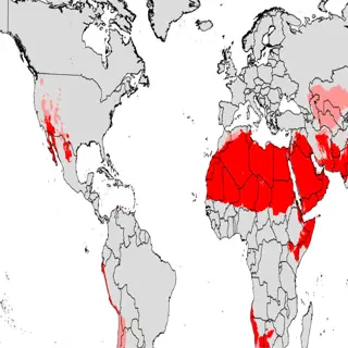 map highlighting desert climates in red across various regions of the world