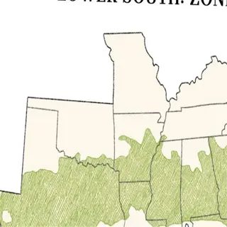 map highlighting lower south as zone 8, part of southern zones (6-9), with green shading