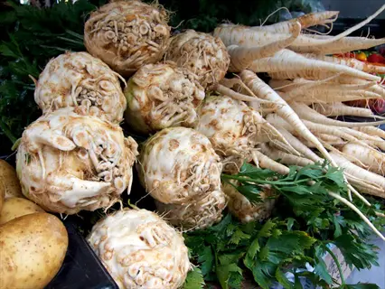 market display featuring knobby hamburg parsley roots with round bulbs, alongside parsnips, potatoes, and leafy greens