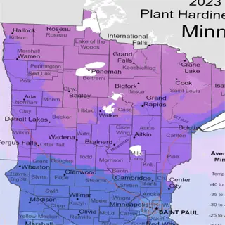 minnesota plant hardiness zone map showing northern zones (3-5) with color-coded temperature ranges
