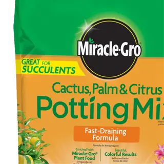 miracle-gro cactus, palm & citrus potting mix bag
