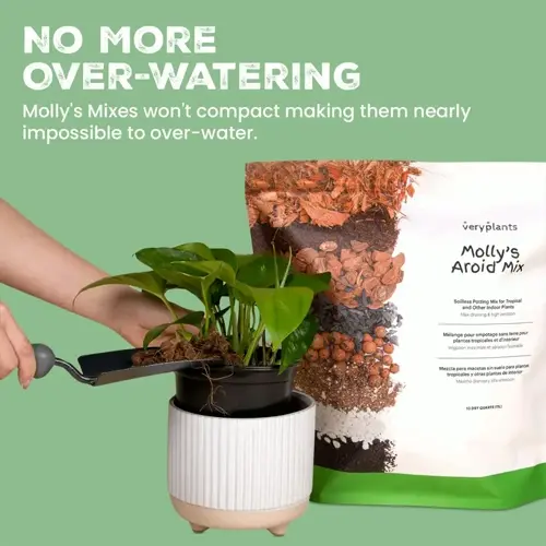 molly's aroid mix: peat moss alternatives garden soil for repotting plants. prevents over-watering with airy, non-compacting formula
