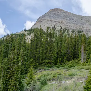mountainous landscape with coniferous forest, part of the mountain zones